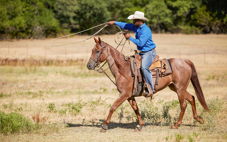 Stephan on horse back with lasso